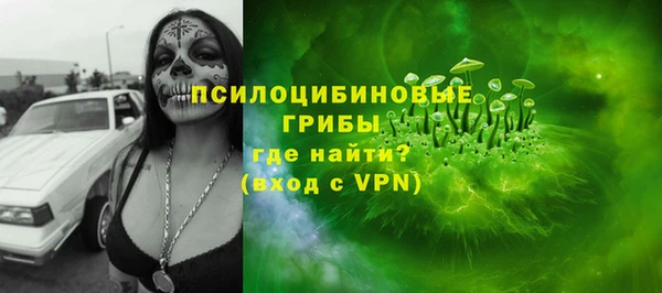 сатива Вяземский