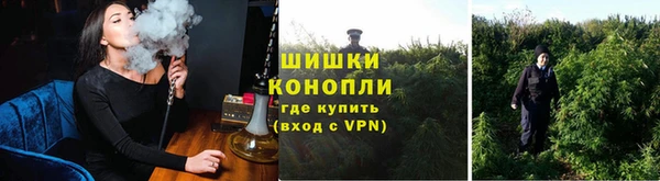 сатива Вяземский