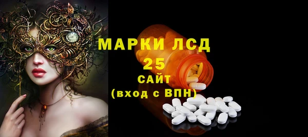 сатива Вяземский
