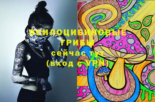 мяу мяу мука Вязьма
