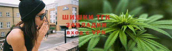 сатива Вяземский