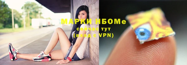 сатива Вяземский