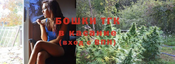 сатива Вяземский