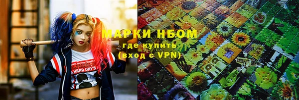 сатива Вяземский