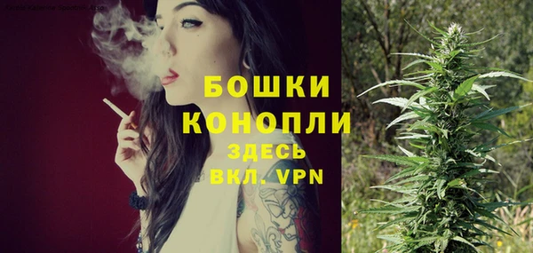 крисы Вязники