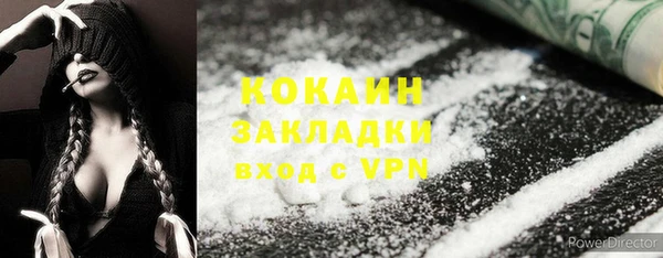 сатива Вяземский