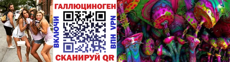 Псилоцибиновые грибы Cubensis  цена наркотик  omg ссылки  Ессентукская 